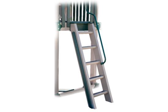 Flat Step Access Ladder with Railing
